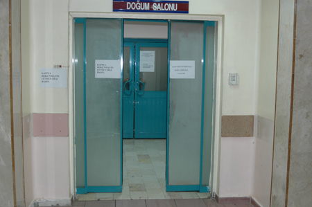 DSC_8200
