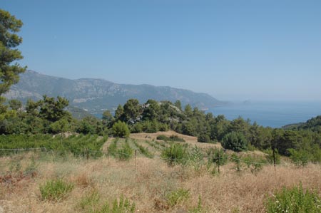 Karaoz Koyu_01