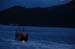 Adrasan Koyu_Gece_06