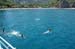 Tekne Turu_Olympos Koyu_18