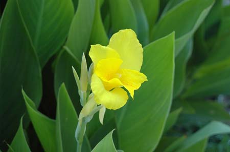 DSC_3894