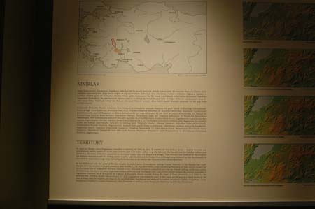 DSC_3119