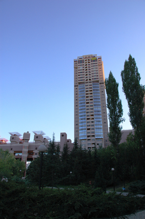 DSC_4331