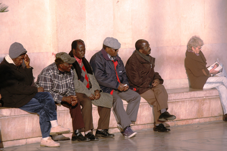 DSC_7433