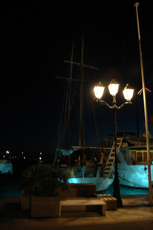 DSC_7460