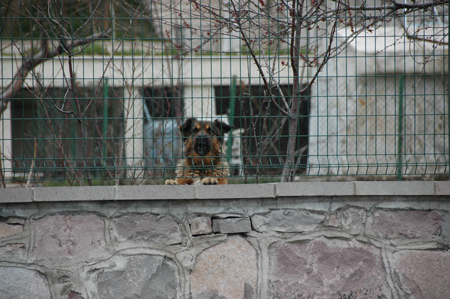 DSC_0579