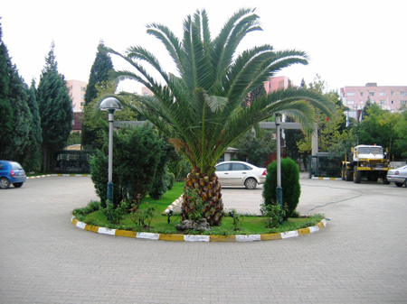 Hegsagone_Park