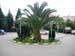 Hegsagone_Park