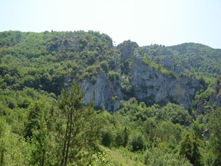 DSC01401