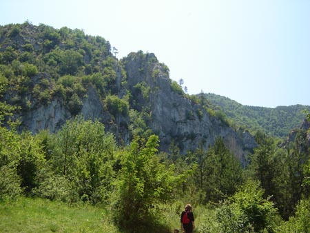 DSC01403