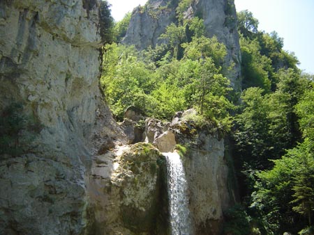 DSC01408