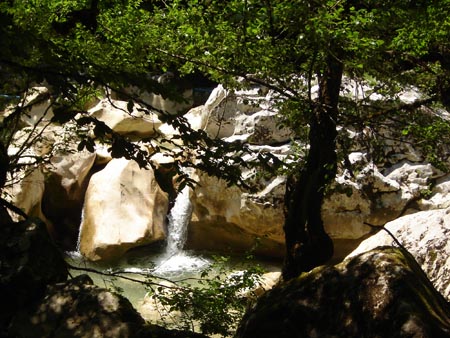 DSC01421