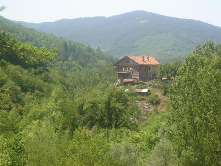 DSC01426
