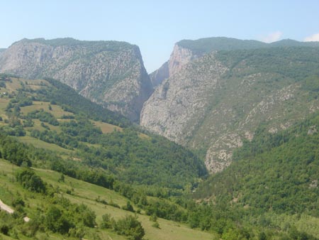 DSC01429