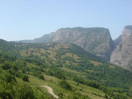 DSC01431