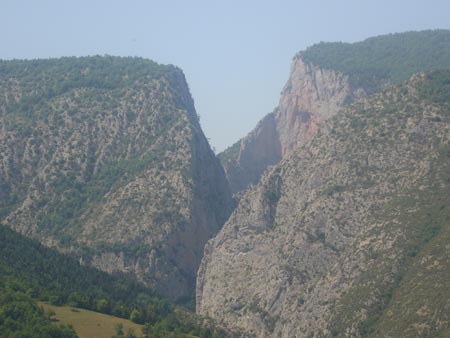 DSC01435