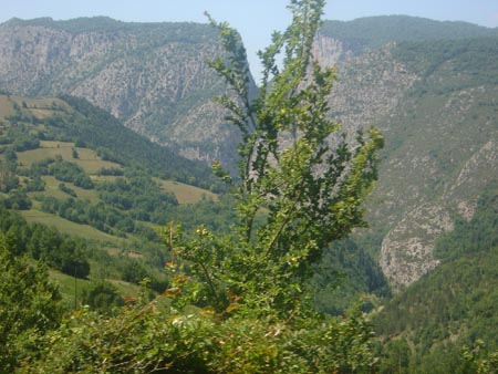 DSC01437