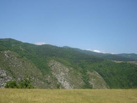 DSC01441