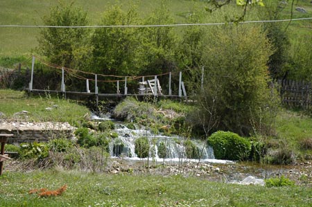 DSC_1535