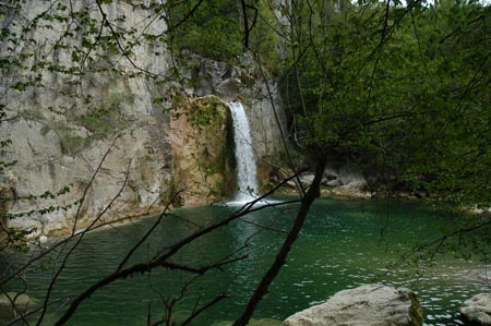 DSC_1550