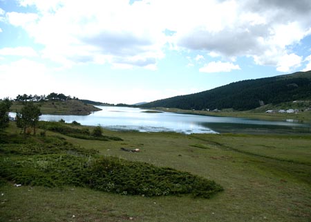 DSC_5200