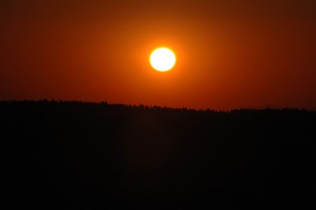 DSC_3826
