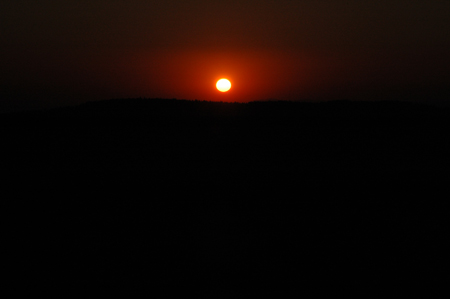 DSC_3831