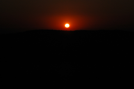 DSC_3832