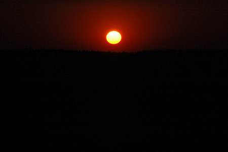 DSC_3834