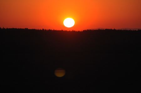DSC_3836