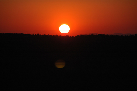 DSC_3838