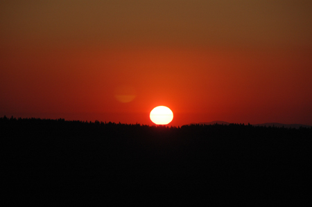 DSC_3842