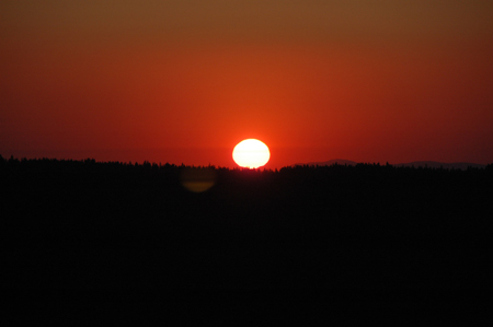 DSC_3843