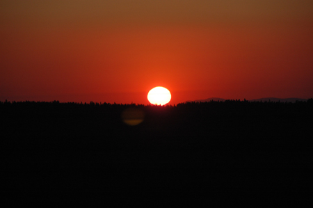 DSC_3844