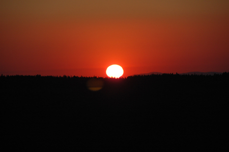 DSC_3845