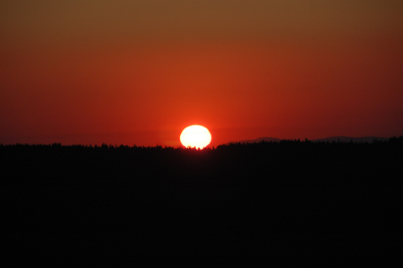 DSC_3846