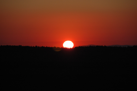 DSC_3847
