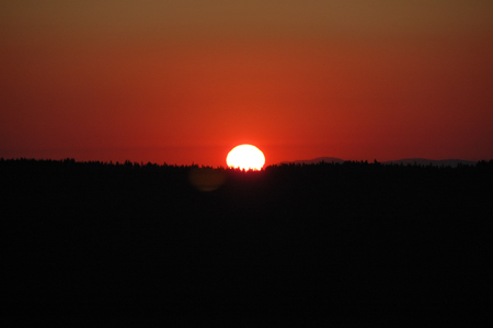 DSC_3848
