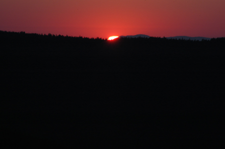 DSC_3855