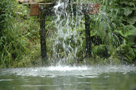 DSC_4002