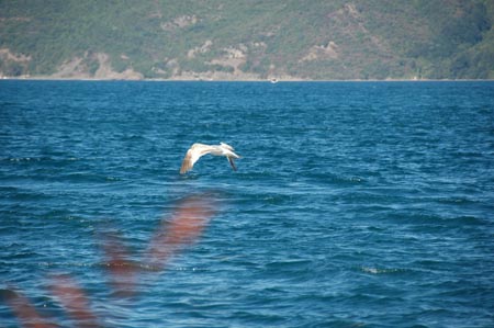 Rumeli  Kavagi24