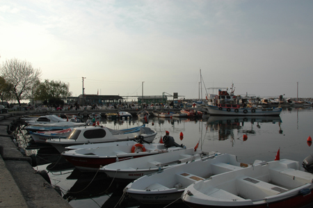 DSC_7891