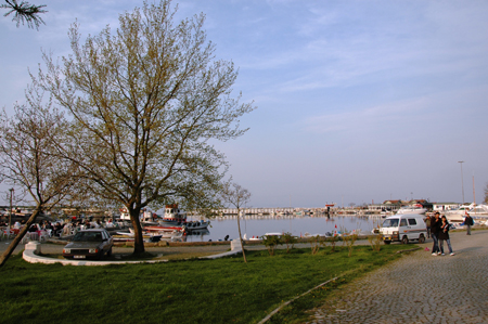 DSC_7896