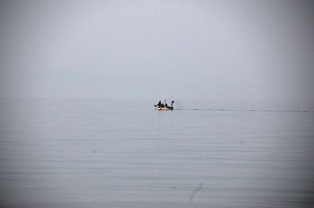 DSC_7905