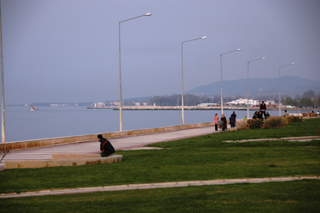 DSC_7923